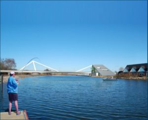 Odense harbour case image